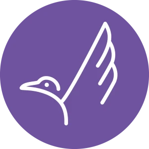 Snow Goose Media logo