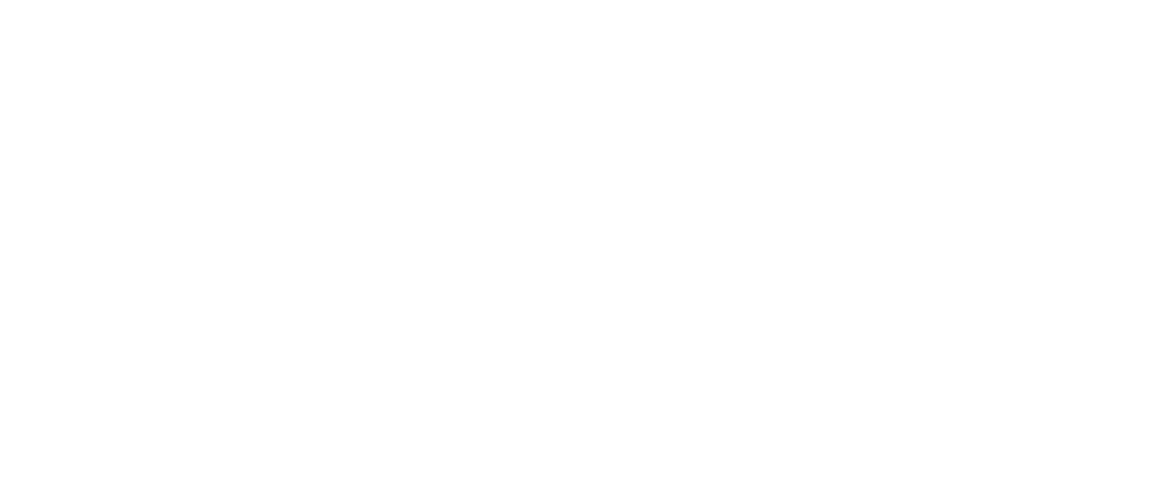 Pender Software Holdings logo